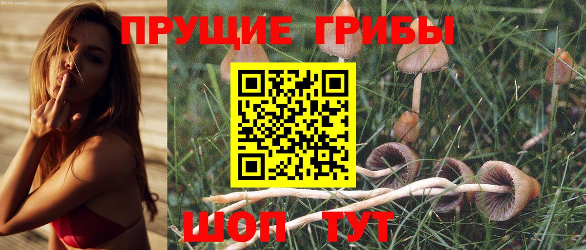 Екатеринбург  Галлюциногенные грибы GOLDEN TEACHER  купить  сайты  Вход с VPN  Галлюциногенные грибы GOLDEN TEACHER 